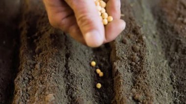 The plating of the seeds in the farmers hands highlights the intricacies and attention to detail required in agriculture, while the rich, dark soil in the background speaks to the beauty of the land