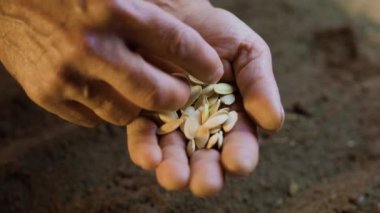 selective focus on the seeds creates a sense of depth and texture that brings the image to life and draws the viewer in.