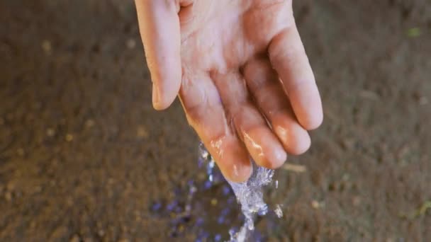 Captivating Video Features Top View Pair Hands Holding Small Stream — Vídeo de Stock