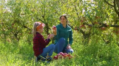 Bir anne ve küçük kızı güzel bir sonbahar gününü meyve bahçesinde birlikte geçirirler, ağaçlardan sulu elmalar toplarlar ve ömür boyu sürecek değerli anılar yaratırlar.