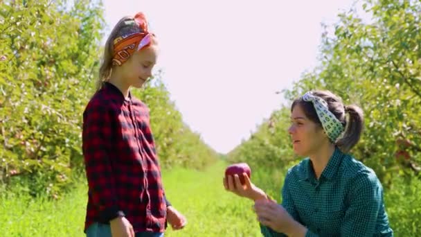 Little Girls Eyes Light She Discovers Perfect Apple Pick Her — Vídeo de stock