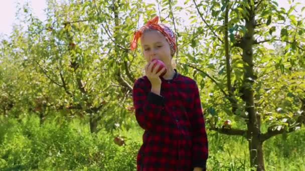 Niño Feliz Disfrutando Una Manzana Recién Recogida Huerto Rodeado Agricultores — Vídeo de stock