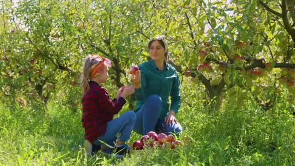 母親と娘は美しい秋の日を一緒に果樹園で過ごし 木からジューシーなリンゴを摘み 一生続く貴重な思い出を作ります — ストック動画