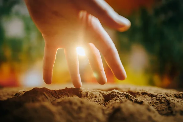 The warmth of sunlight shining on the hands of a farmer, as they carefully tend to their soil. Vibrant greenery sprouting from the soil beneath a pair of skilled hands, working to cultivate the land.