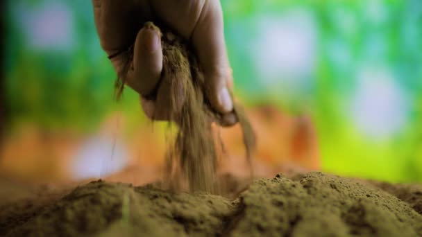 Солнечный Свет Течет Фермеры Руки Работают Землю Выборочным Упором Пальмы — стоковое видео