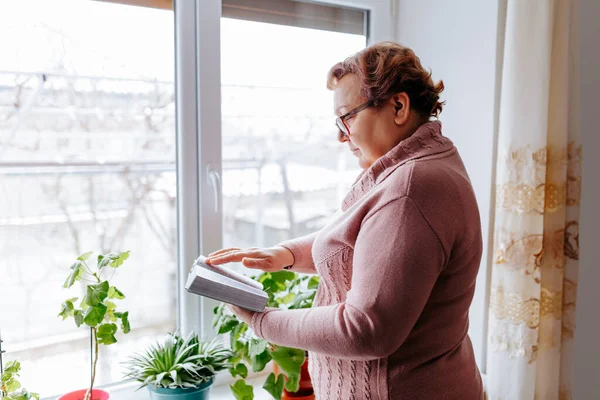 stock image A senior woman with glasses sitting by the window, reading an interesting book that captures her attention.