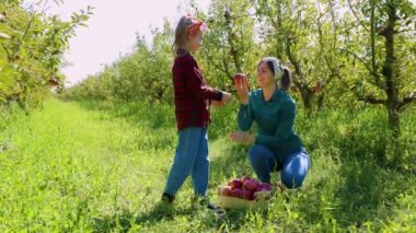 Bir anne ve kız, cömert aile bahçelerinde elma toplayarak gülüp eğleniyorlar..