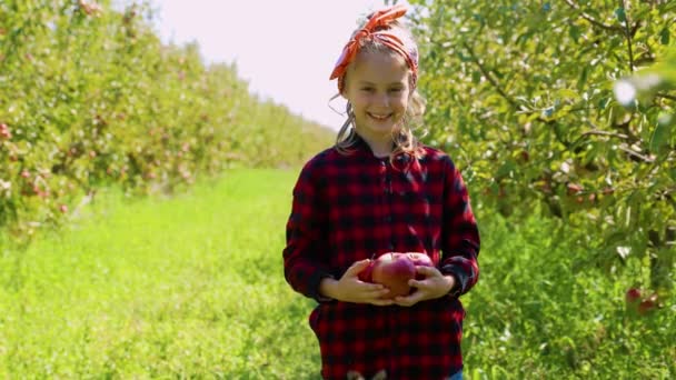 子供たちは美しい果樹園でりんごを大切に育てています 明るい笑顔の子供たちは収穫の喜びを示しています 暖かい日差しと緑豊かな環境 — ストック動画
