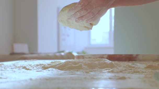 Close Making Dough Female Hands Bakery Shot Hands Woman Bakery — 图库视频影像