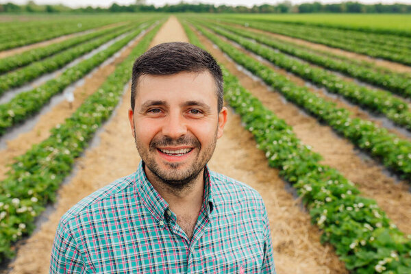 Portrait of young Caucasian handsome happy man farmer standing in strawberry field and smiling to camera. Young satisfied farmer standing in front of agricultural land