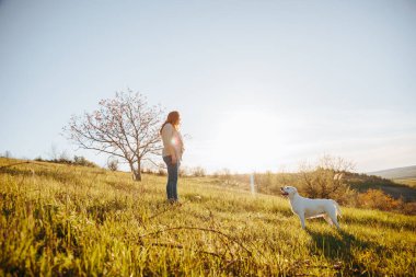 Altın Saat Zevk Kadını ve Günbatımını Kucaklayan Labrador Köpekleri. Arkadaşlık ve eğlence. Labradoruyla bağ kuran kadın.