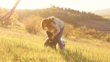 Büyüleyici Anlar Kadınları Evcil Evlerle Oynayan Bağlantı. Neşeli yoldaşlar Altın gün batımında bir kadın ve köpekleri