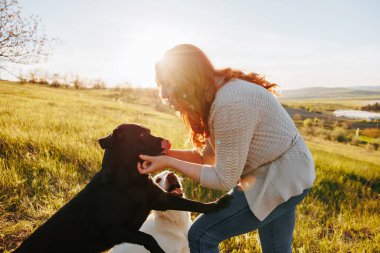 Erdemli Eğlenceli Kadınlar Sunset 'te Evcil Evlerle Eğleniyor. Kadınlar gün batımında evcil köpekleriyle vakit geçirmekten zevk alırlar.