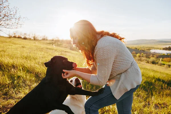 Здорові Веселі Жінки Грайливий Час Домашніми Собаками Заході Сонця Жінки — стокове фото