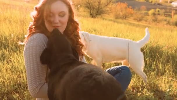 Libera Happiness Womans Interazione Giocosa Con Cani Tramonto Tempo Libero — Video Stock