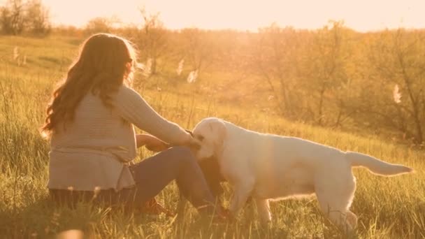 夕阳西下 妇女真正的幸福与她的顽皮宠物 日落探险女人和她的爱玩的狗在户外 — 图库视频影像