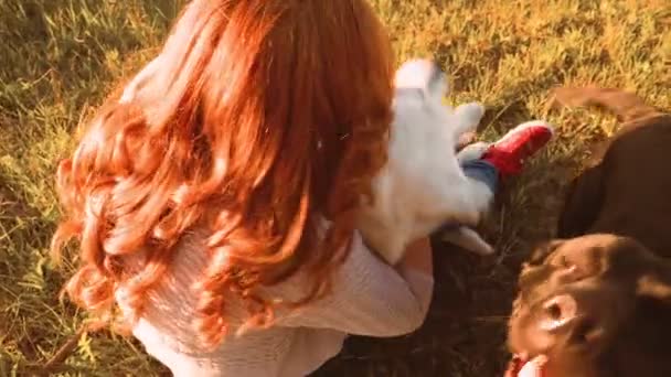 Het Vangen Van Friendship Woman Haar Speelse Honden Outdoor Bliss — Stockvideo