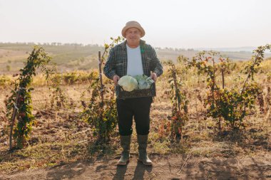 Kırsal Yaşam, kırsal kesimde bol lahana hasadıyla yaşlı bir çiftçiyi yakaladı. Kırsal Hasat Güzelliği Olgun Kafkas Çiftçisi ve Lahanası Ödülü Kameraya bakıyor