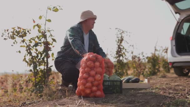 本物はこのイメージの本質であり 穏やかな田舎の田舎で本物で勤勉な高齢者を示しています 実在の人々 実生活 そして野菜の豊かな収穫 — ストック動画