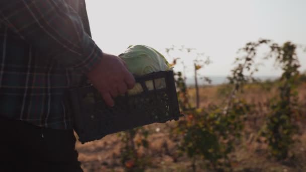 Közeli Kép Egy Idős Mezőgazdasági Ember Kezéről Kezében Egy Láda — Stock videók