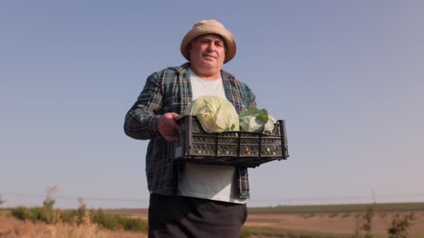 Vida Rural Agricultor Sênior Com Chapéu Trabalho Nos Campos Reunindo — Vídeo de Stock