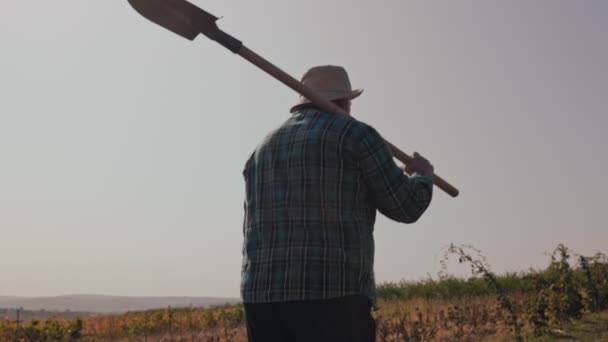 Trabalhando Terra Agricultor Envelhecido Caminha Através Sua Terra Exuberante Uma — Vídeo de Stock