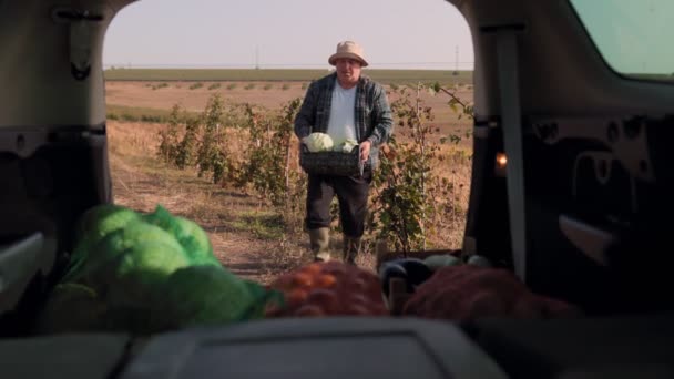 農村の収穫 彼が彼の車に向かって新鮮な野菜の犯罪を運ぶように 高齢の農民の道 田舎での収穫時間 新鮮な野菜のクレートで歩く老農家 — ストック動画