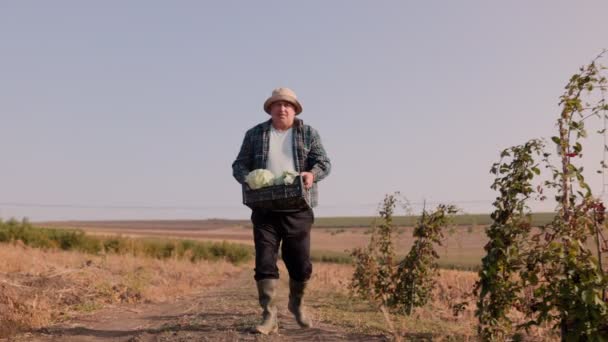 Egy Idős Kaukázusi Farmer Kezében Egy Láda Frissen Betakarított Zöldséggel — Stock videók