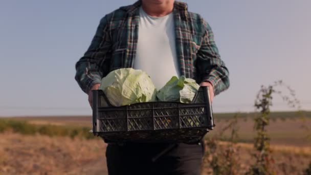Tiro Perto Capturando Mãos Fazendeiro Idoso Segurando Uma Caixa Vegetais — Vídeo de Stock