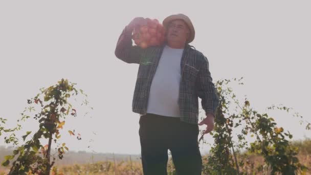 Homem Maduro Encarnando Coração Alma Agricultura Está Meio Vasta Terra — Vídeo de Stock
