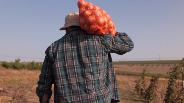 Vidéki Betakarítás Vezető Farmer Sétál Egy Zsák Frissen Betakarított Zöldséggel — Stock videók