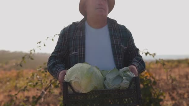 彼の農地の古いコーカサス農民 専門的に野菜の収穫を管理 実在の人々のイメージ 風光明媚な田舎の景色 農業風景の仕事で味付けされた農民 — ストック動画