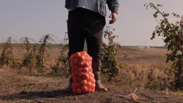 Egy Öreg Farmer Klasszikus Vidéki Öltözékben Föld Buja Gazdagságával Veszi — Stock videók