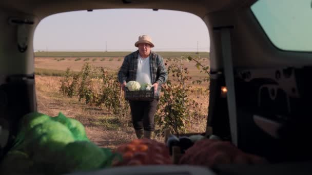 労働者の果実を収穫する 高齢の農民の旅 自家製野菜の犯罪を運ぶ 収穫シーズンを受け入れる成熟したシニアファーマーは新鮮な農産物で彼の車をロードします — ストック動画