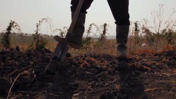 Close Depiction Dedicated Farmer Lower Body Engaged Digging Lovel Amidst — стоковое видео