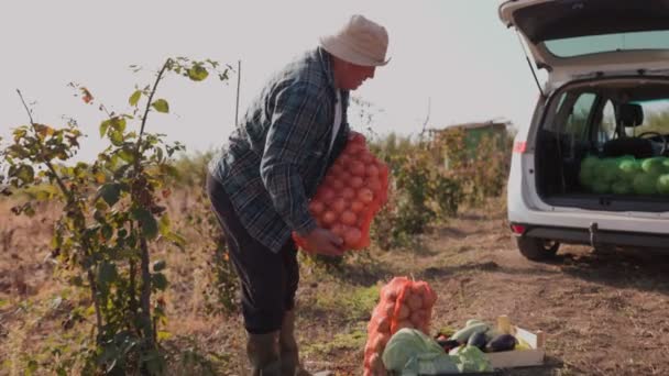 Escena Cosecha Rural Granjero Anciano Llevando Una Bolsa Verduras Listo — Vídeos de Stock