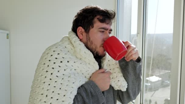Realismo Objetivo Homem Barbudo Envolto Cobertor Casa Lidar Com Gripe — Vídeo de Stock