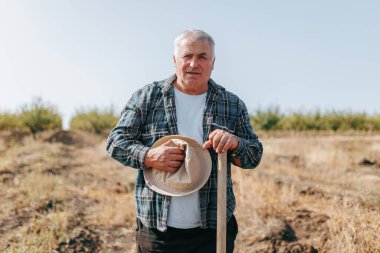 Ülkenin Bilgeliği Yaşlı Çiftçi kameraya bakıyor Kırsal Alanında Saygınlıkla Duruyor, Yanında Güvenilir Bir Kürek Tutuyor. Yaşlı Çiftçi Hayaller Tarlası Bir Kürek Taşıma