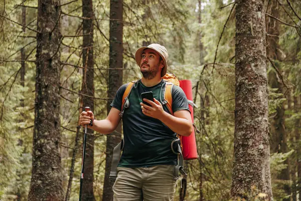 Tech Trails Join a young hiker in the heart of the woodland, where the journey is enhanced by the presence of a smartphone. This image showcases the integration of technology into the hiking