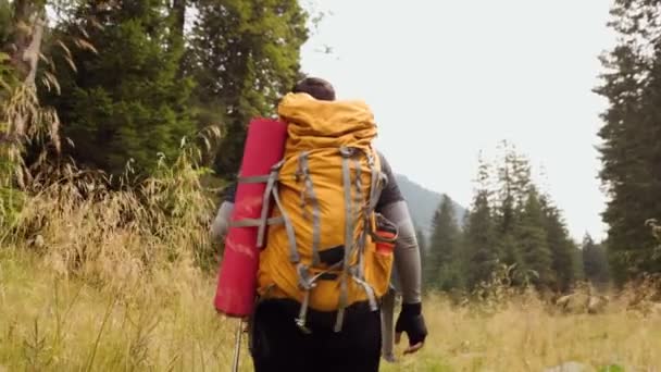 Sumérgete Tranquilidad Del Bosque Como Joven Excursionista Vestido Mochila Embarca — Vídeo de stock