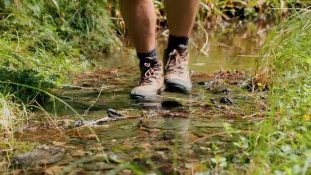 River Strides Close Van Wandelaars Benen Een Verfrissende Natuurwandeling Sylvan — Stockvideo