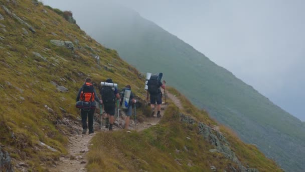 Nature Symphony Group Hikers Backtracking Path Less Taken Inglés Woodland — Vídeo de stock