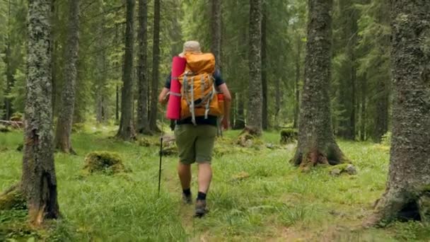 沉醉在大自然的美丽中 作为一个孤独的远足者 装饰着背包 踏上了迷人的旅程 这个回顾场景抓住了积极健康的生活方式的本质 — 图库视频影像
