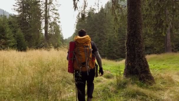 一个独行侠 背着背包 沉浸于大自然的宁静之中 体现了积极生活方式的精神和探索的自由 后视镜增加了场景的深度 — 图库视频影像