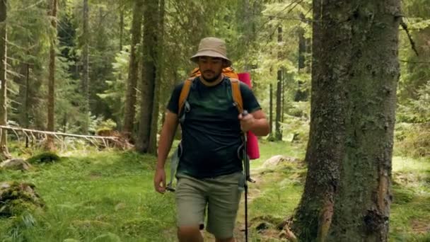 Assistez Voyage Randonneur Caucasien Une Figure Solitaire Dans Les Bois — Video