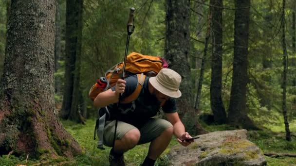 看看自然与技术的协同作用与一个白人徒步旅行者 森林成为他的智能手机动力探索的背景 令人激动的远足探险 — 图库视频影像