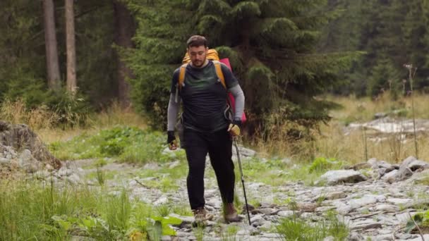 Ontdek Vrijheid Van Een Mannelijke Wandelaar Terwijl Hij Het Buitenleven — Stockvideo