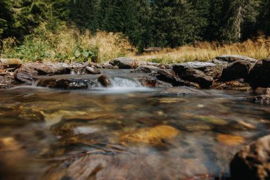Dağlardaki nehir duvar kağıdı, manzara ve detaylar. Dramatik Tepeler Doğa Sahnesi Duvar Kağıdı. Doğa Yürüyüşü Bilimadamı Woodland Flora 'nın Neşeli İncelemesi