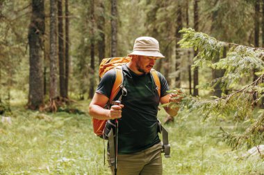Ekolojik Keşif Mutlu Yürüyüşçüler Doğa Ödülü 'nün Başarılı Çalışması. Ormanda Bilimsel Zafer Neşeli Yürüyüşçü Ormanı İnceleme Flora