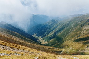 Ekolojik Keşif Mutlu Yürüyüş Başarılı Doğa Araştırmaları Ödülü. Ormanda Bilimsel Zafer Neşeli Yürüyüşçü Ormanı İnceleme Flora